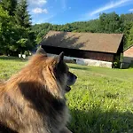 Dom Pod Debem Holiday home Konradow (Lower Silesia)