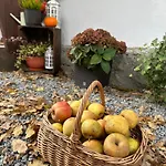 Holiday home Dom Pod Debem Konradow (Lower Silesia)