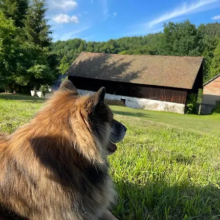 Dom Pod Debem Semesterbostad Konradow (Lower Silesia)