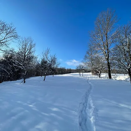 Dom Pod Debem Tatil Evi Konradow (Lower Silesia)