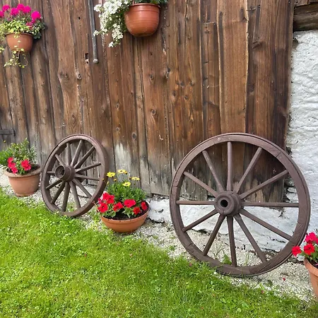 Dom Pod Debem Vakantiehuis *