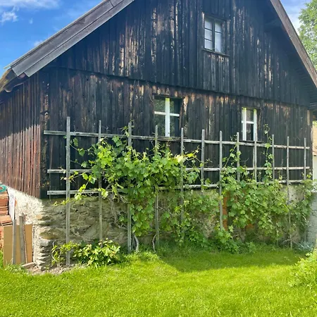 Dom Pod Debem Vakantiehuis