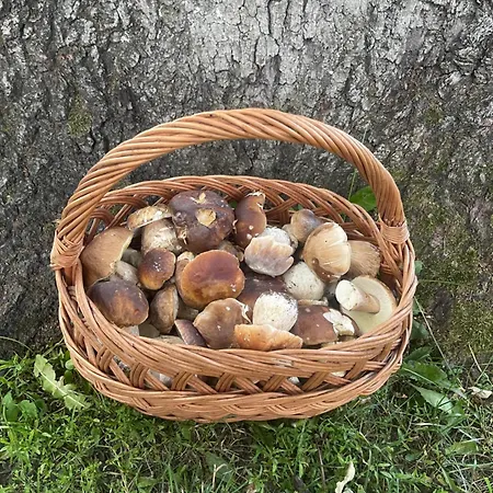 Сasa de vacaciones Dom Pod Debem *