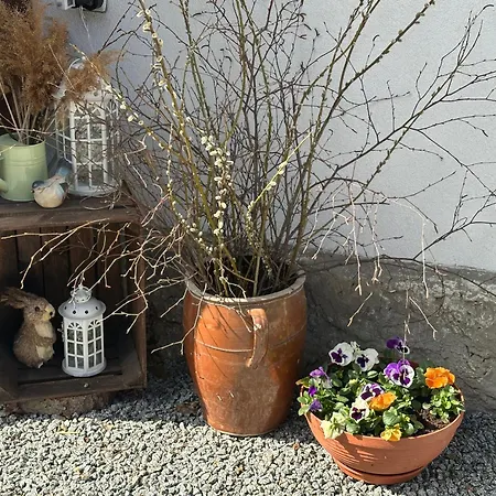 Dom Pod Debem Vakantiehuis *