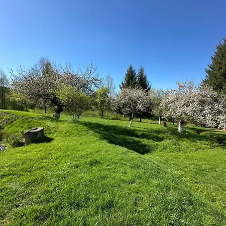 Dom Pod Debem Vakantiehuis