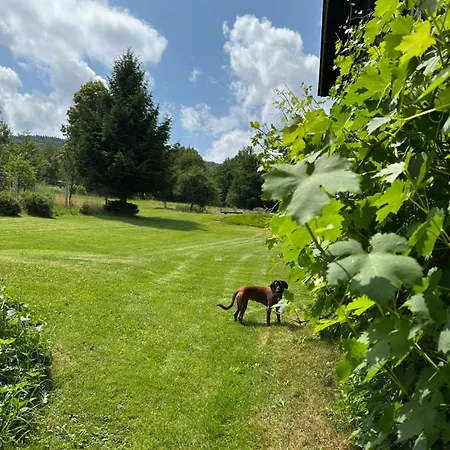 Dom Pod Debem Сasa de vacaciones Konradow (Lower Silesia)