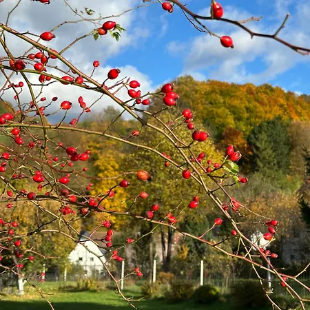 Dom Pod Debem Сasa de vacaciones *