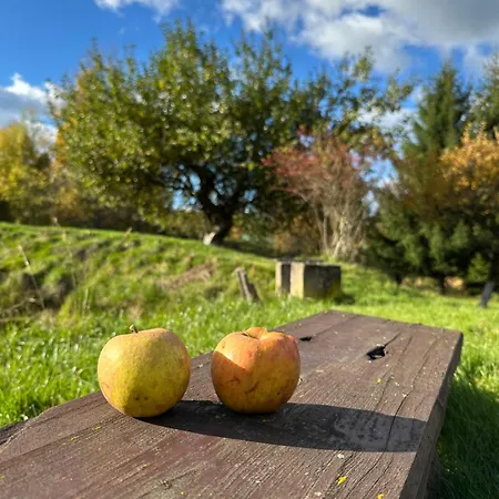 Dom Pod Debem Vakantiehuis Konradow (Lower Silesia)
