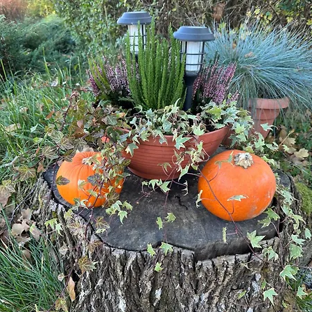 Dom Pod Debem Vakantiehuis