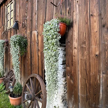 Dom Pod Debem Vakantiehuis *