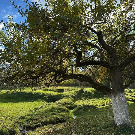 Dom Pod Debem Konradow (Lower Silesia)