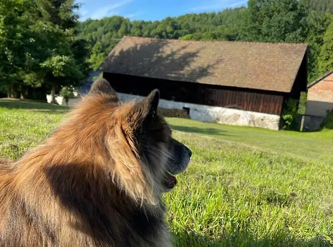 Dom Pod Debem Σπίτι διακοπών Konradow (Lower Silesia)