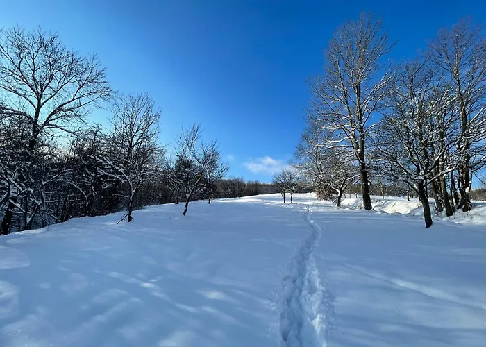 Dom Pod Debem Σπίτι διακοπών Konradow (Lower Silesia)