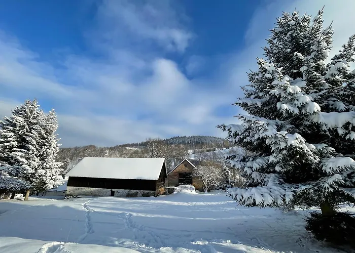 Σπίτι διακοπών Dom Pod Debem *