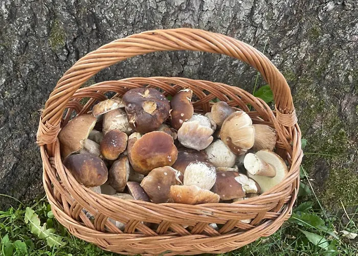 بيت للعطل Dom Pod Debem *