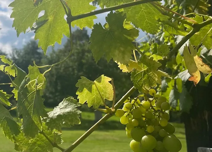 Dom Pod Debem Σπίτι διακοπών *