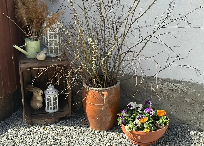 Dom Pod Debem بيت للعطل *