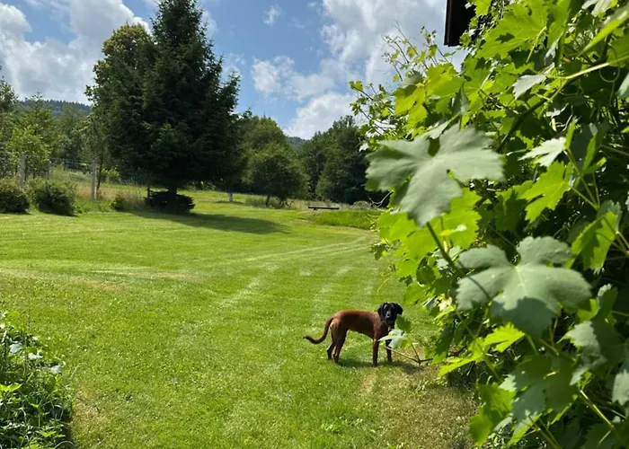 Dom Pod Debem Σπίτι διακοπών Konradow (Lower Silesia)