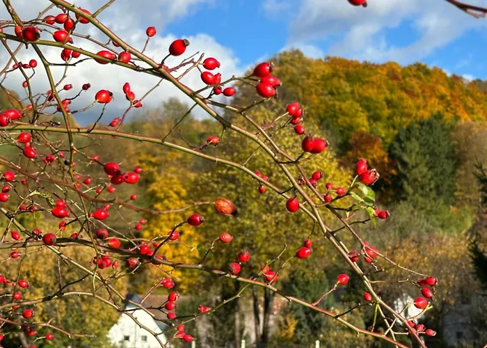 Dom Pod Debem Σπίτι διακοπών *
