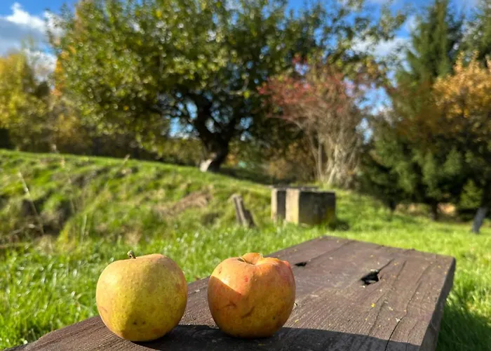 Dom Pod Debem بيت للعطل Konradow (Lower Silesia)