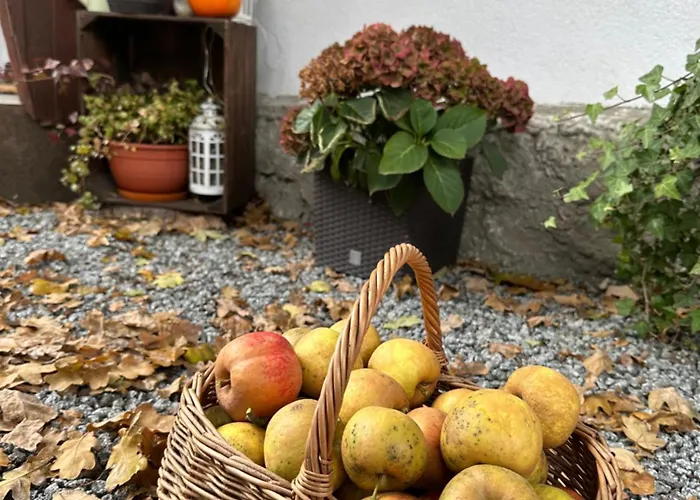 Σπίτι διακοπών Dom Pod Debem Konradow (Lower Silesia)