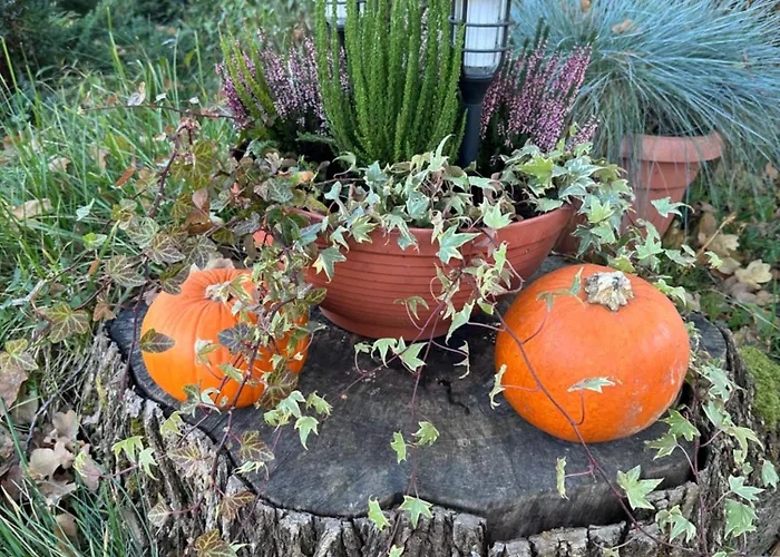 Dom Pod Debem بيت للعطل