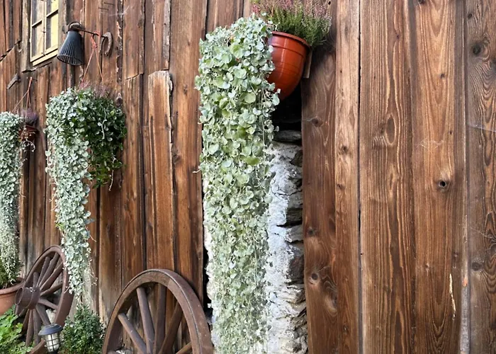 Dom Pod Debem بيت للعطل *